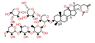 Synallactoside A2